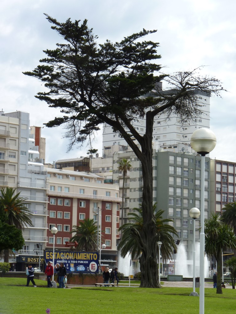Foto: Plaza Colón - Mar del Plata (Buenos Aires), Argentina