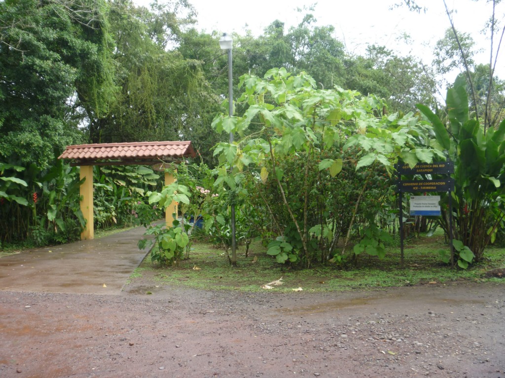 Foto de Arenal (San José), Costa Rica