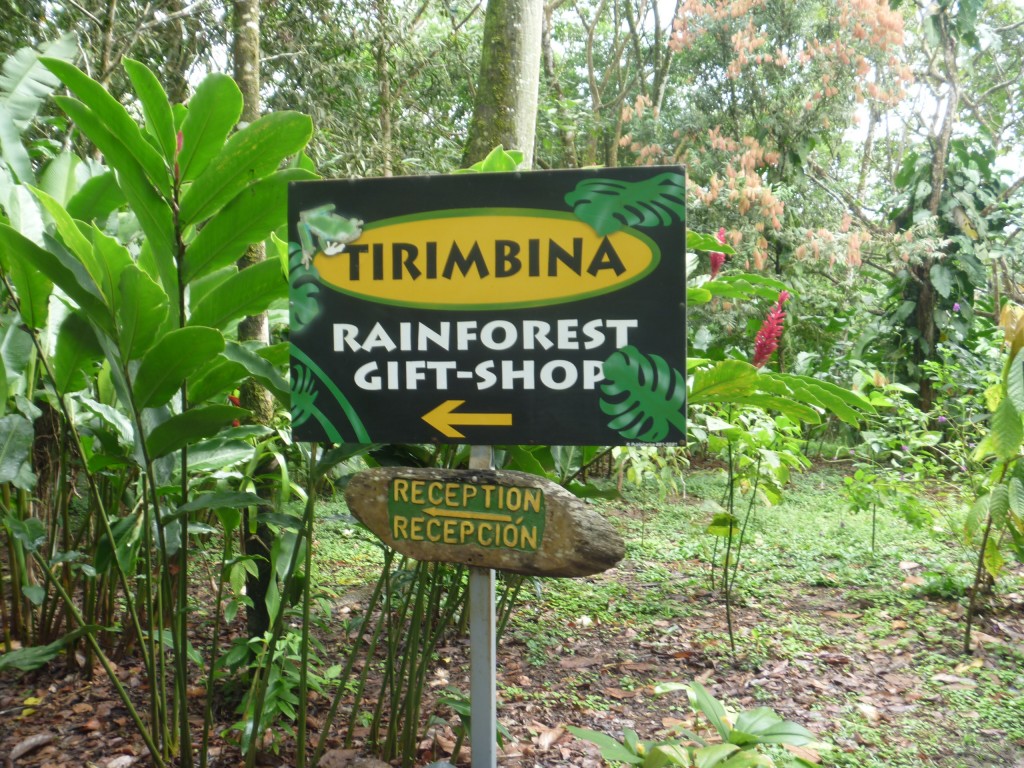 Foto de Arenal (San José), Costa Rica