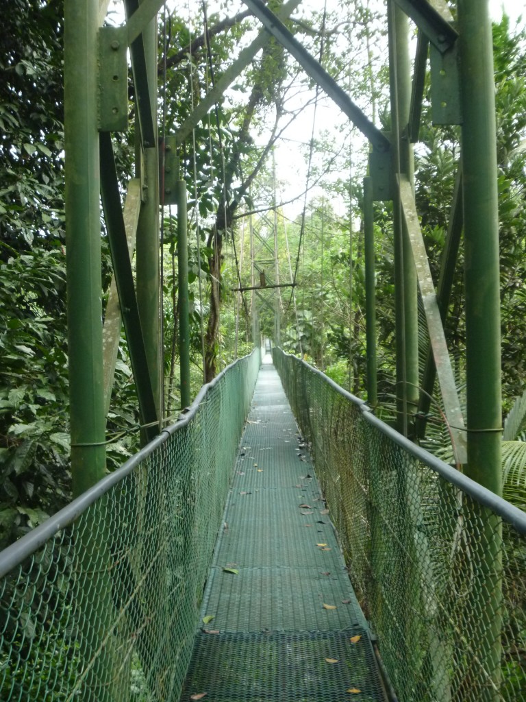 Foto de Arenal (San José), Costa Rica