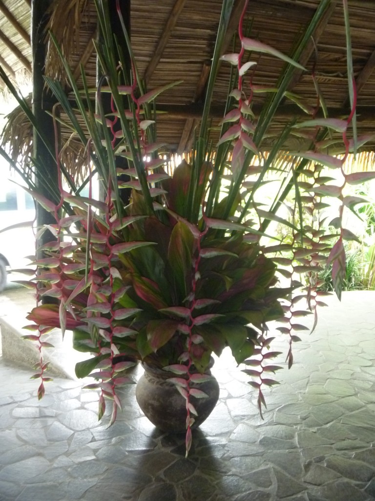 Foto de Arenal (San José), Costa Rica