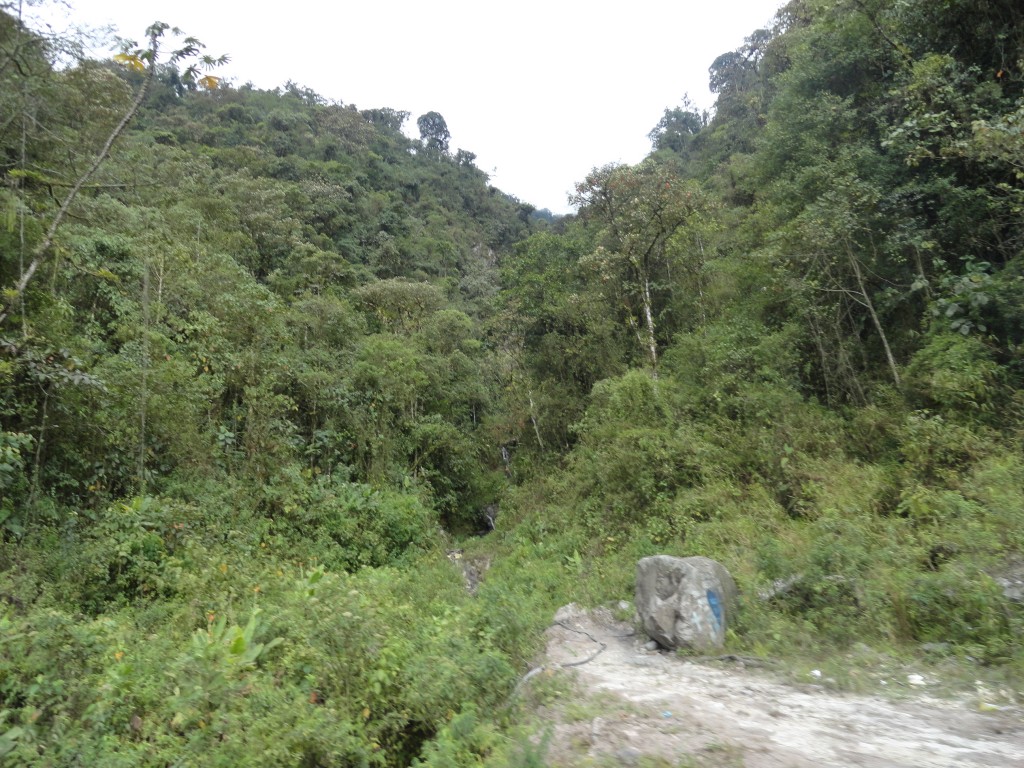 Foto: Carretera - Santo Domingo (Santo Domingo de los Tsáchilas), Ecuador