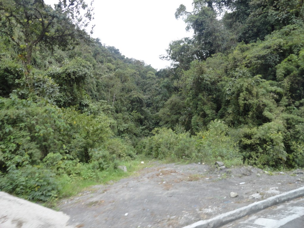 Foto: Carretera - Santo Domingo (Santo Domingo de los Tsáchilas), Ecuador
