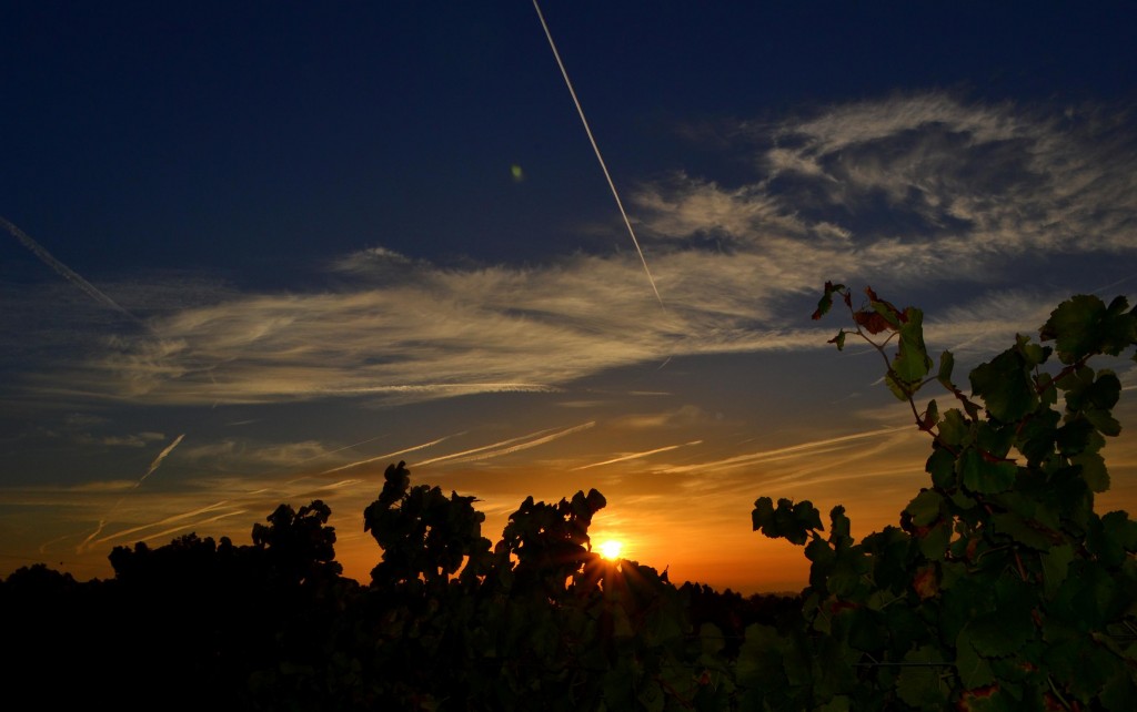 Foto: Amanecer - Torrelles  de Foix (Barcelona), España
