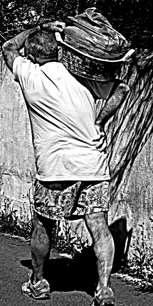 Foto: Salvando Riñones - Salobreña (Granada), España