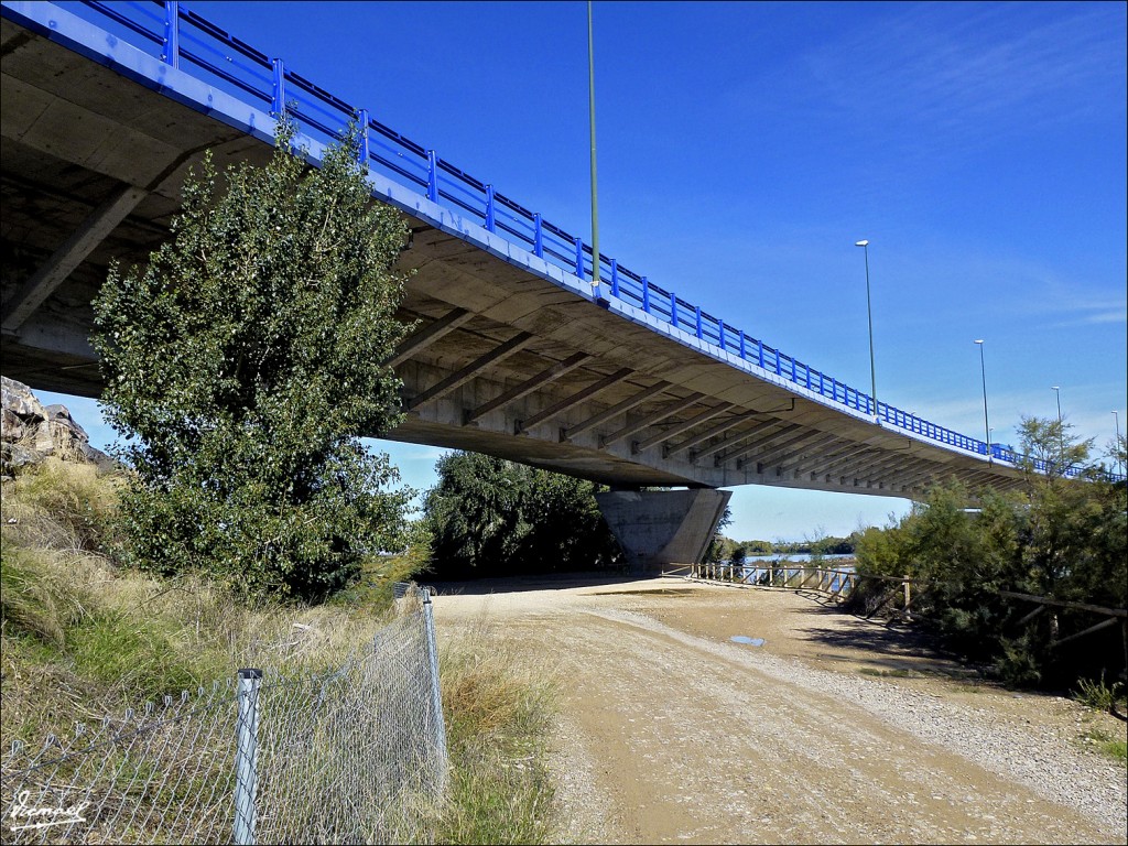 Foto: 121105-11 PUENTE EBRO Z-40 - Zaragoza (Aragón), España