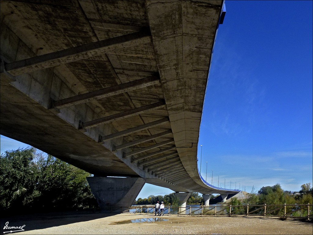 Foto: 121105-25 PUENTE EBRO Z-40 - Zaragoza (Aragón), España