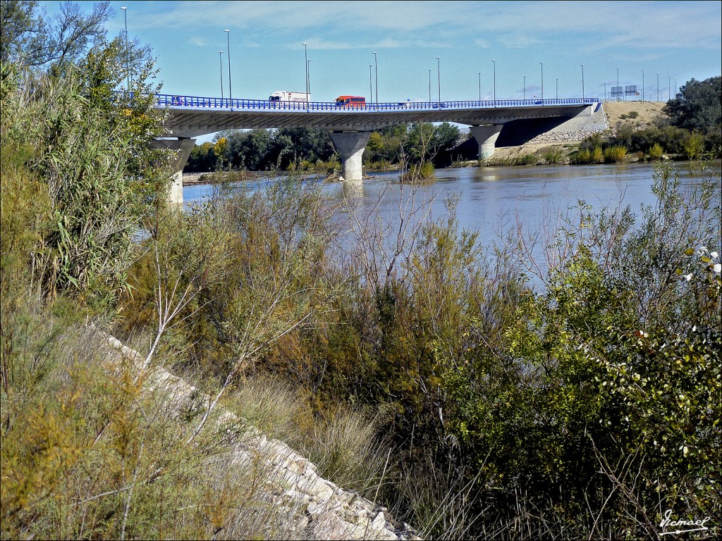 Foto: 121105-27 PUENTE EBRO Z-40 - Zaragoza (Aragón), España