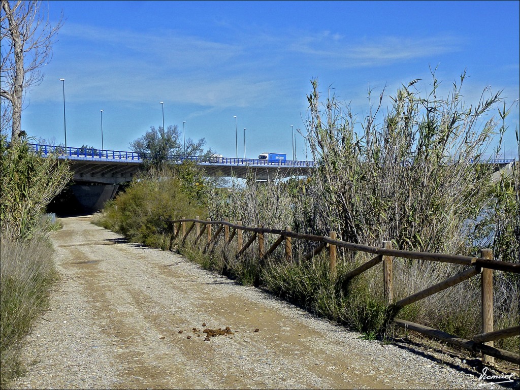 Foto: 121105-30 PUENTE EBRO Z-40 - Zaragoza (Aragón), España