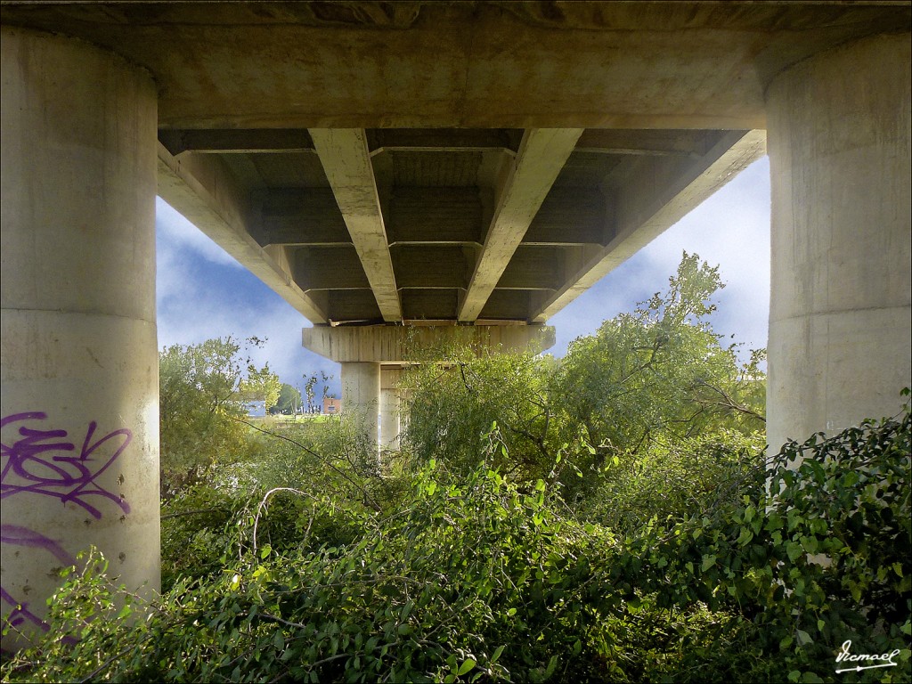 Foto: 121107-28 PUENTE DE ALFOCEA - Zaragoza (Aragón), España