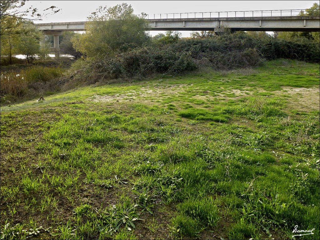 Foto: 121107-32 PUENTE DE ALFOCEA - Zaragoza (Aragón), España