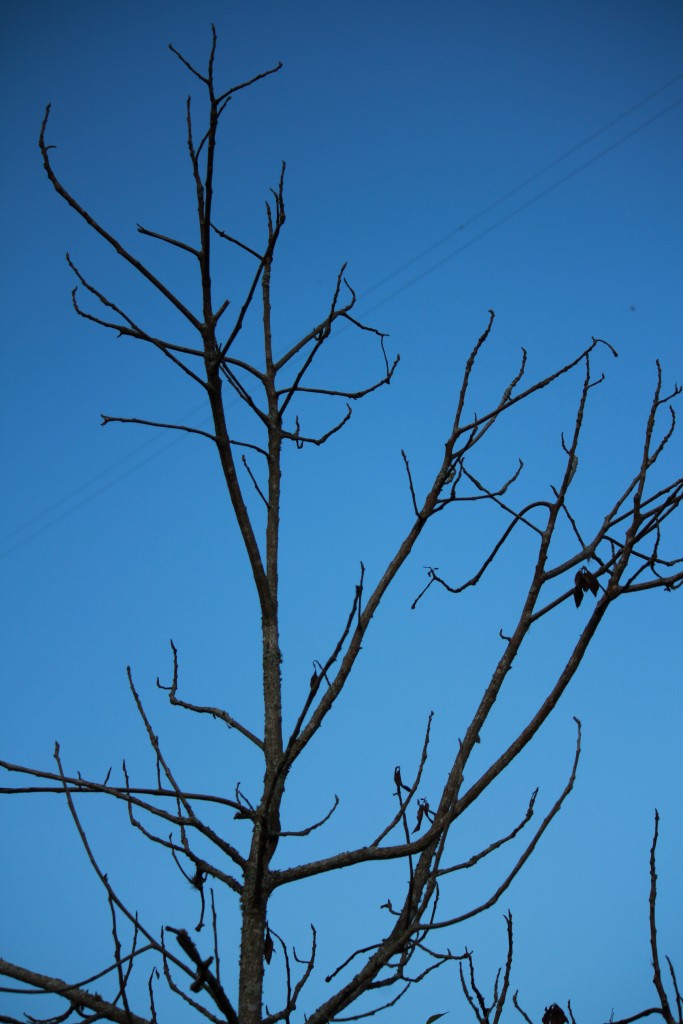 Foto: Azul Profundo - La Grita (Táchira), Venezuela