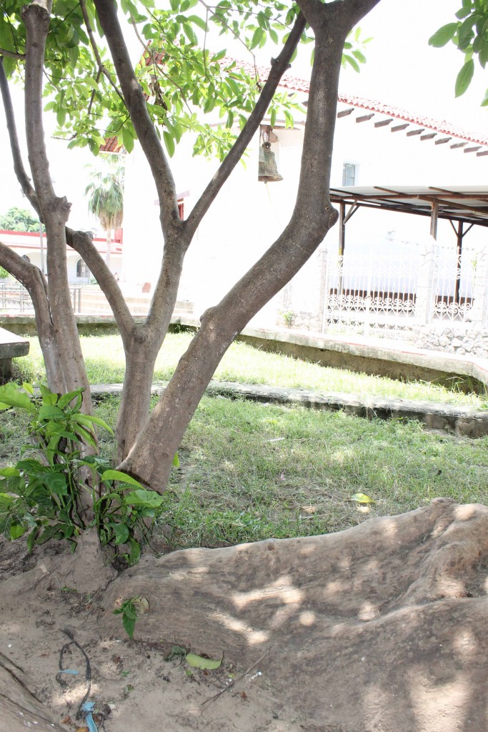 Foto de Tapachula (Chiapas), México