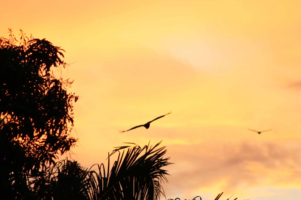 Foto de Tapachula (Chiapas), México