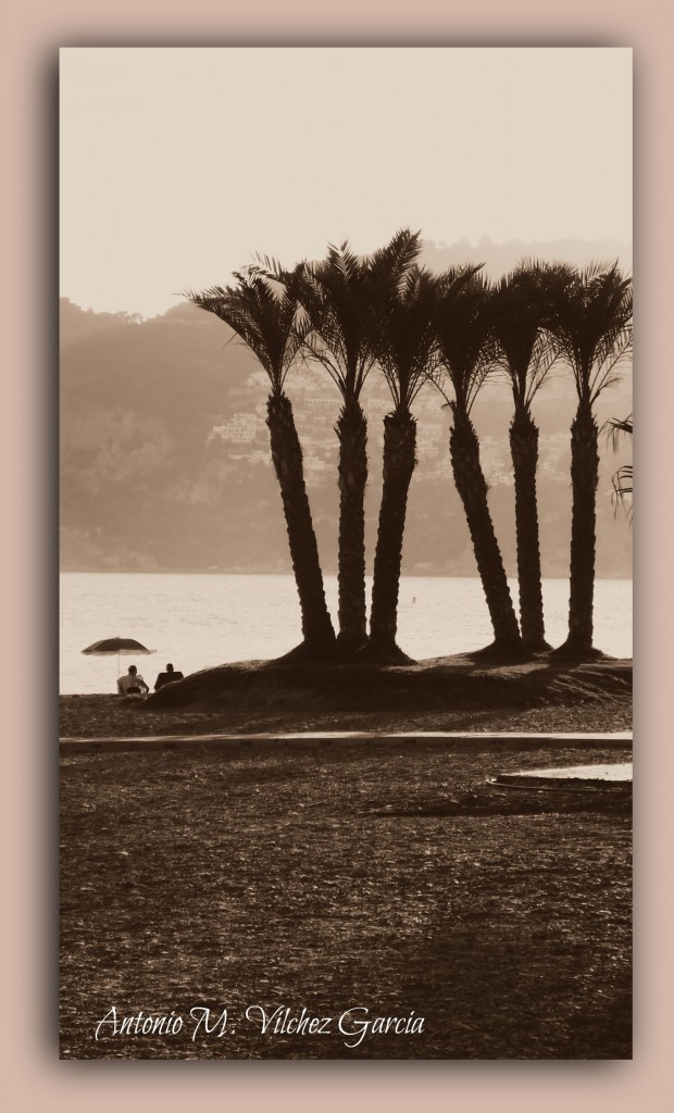 Foto: Con buena sombra - La Herradura (Granada), España