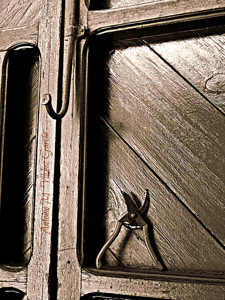 Foto: No te cortes - Salobreña (Granada), España