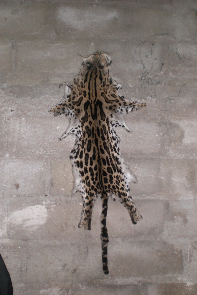 Foto: Catzuelo - Yali (Jinotega), Nicaragua