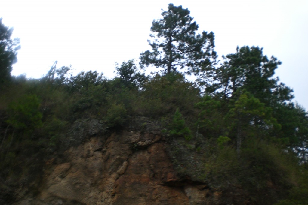 Foto: Pinos - Matagalpa, Nicaragua