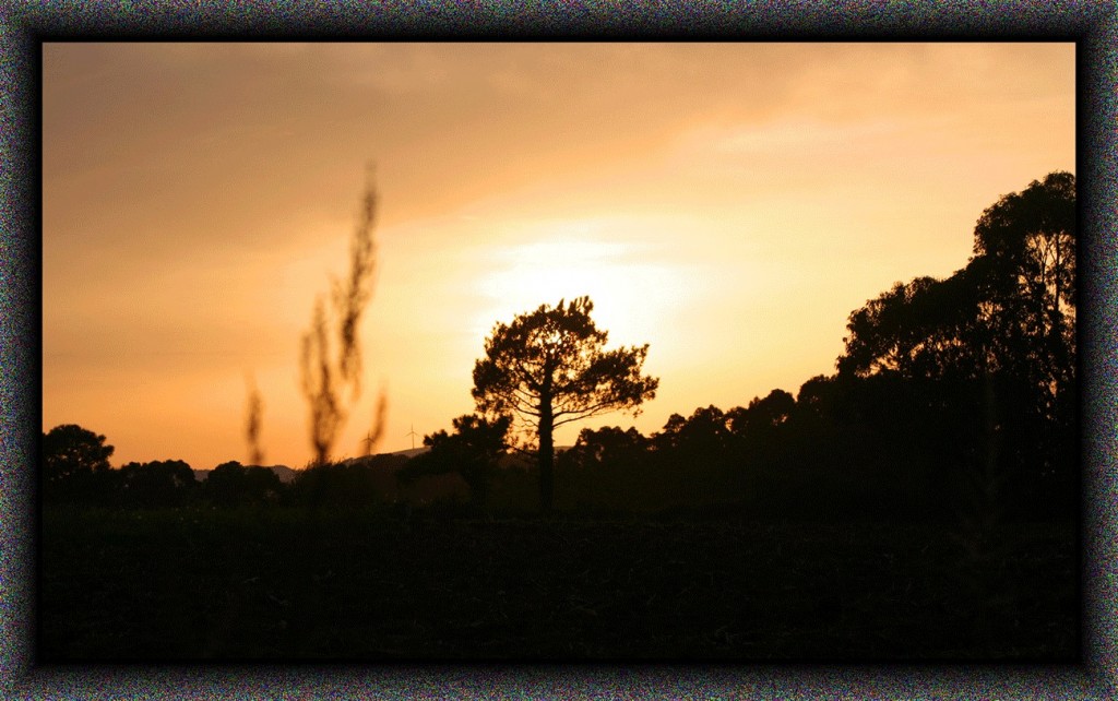 Foto de Barayo (Asturias), España