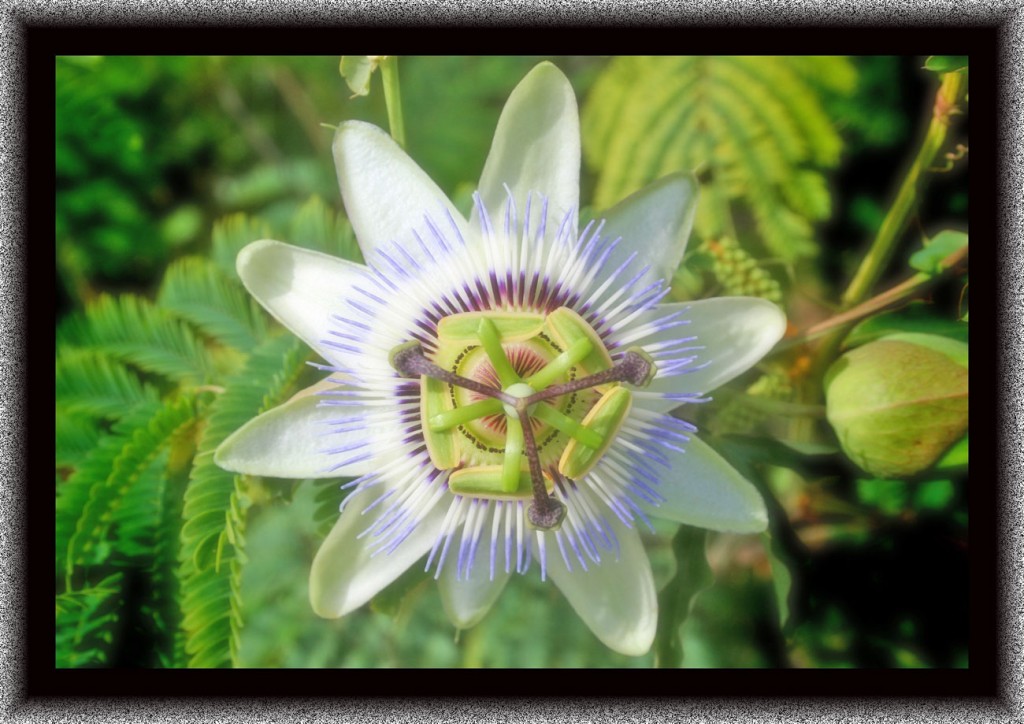 Foto de Cudillero (Asturias), España