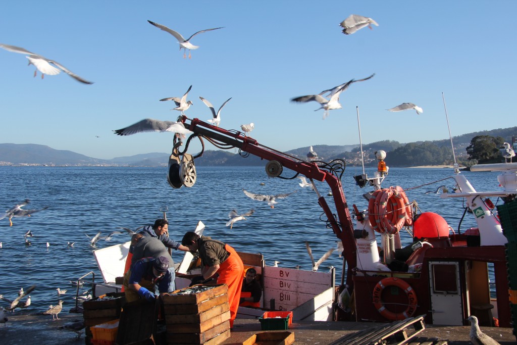 Foto de Bueu (Pontevedra), España