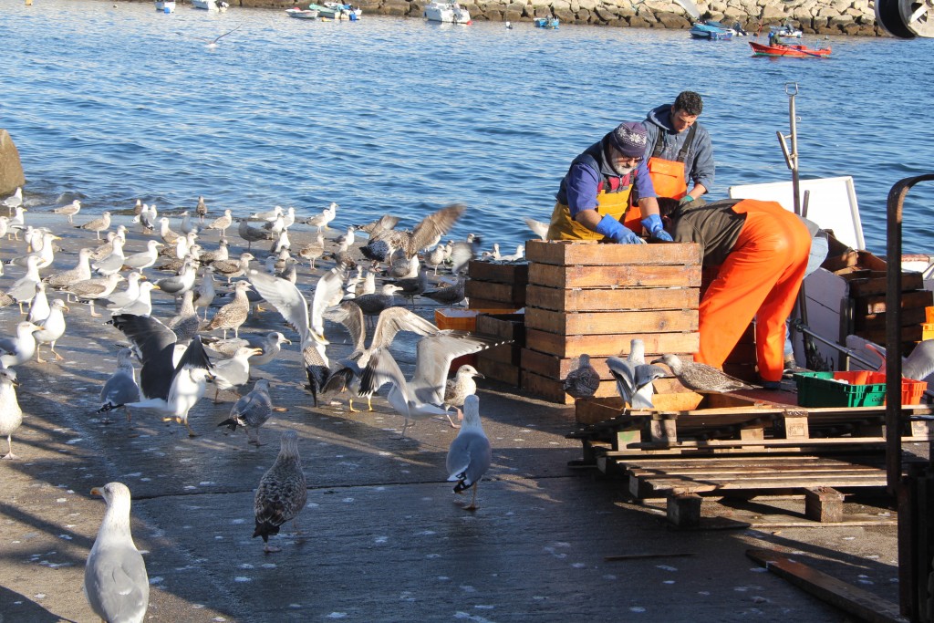 Foto de Bueu (Pontevedra), España
