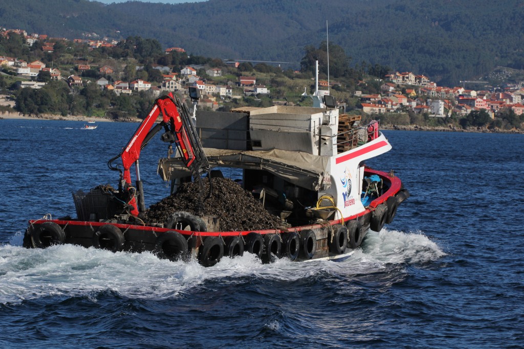 Foto de Cangas del Morrazo (Pontevedra), España
