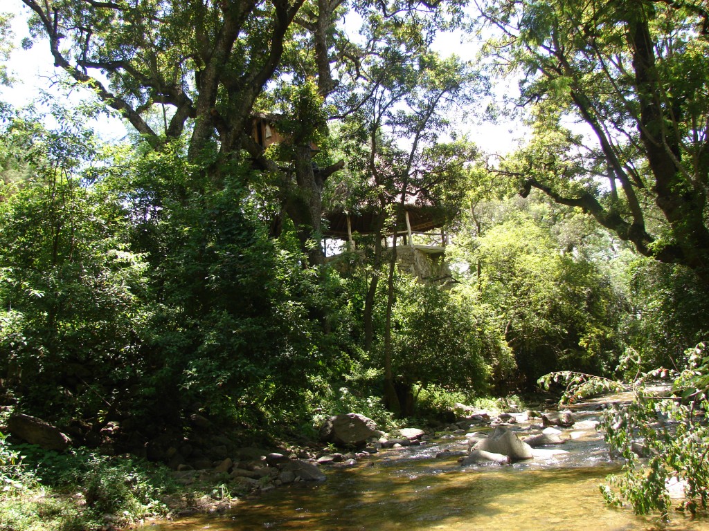 Foto: Camino hacia la posa del pato - La Victoria (Tarija), Bolivia