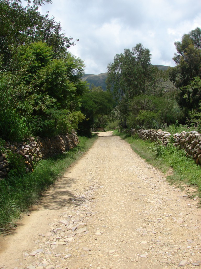 Foto: Camino hacia el rincón de la Victoria - El rincón de la Victoria (Tarija), Bolivia