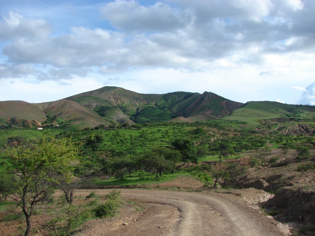 Foto: Camino de Juntas - Juntas (Tarija), Bolivia