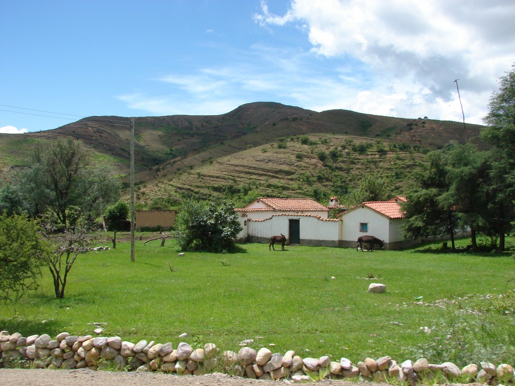 Foto: El campo en Tolomosa Sur - Tolomosa (Tarija), Bolivia