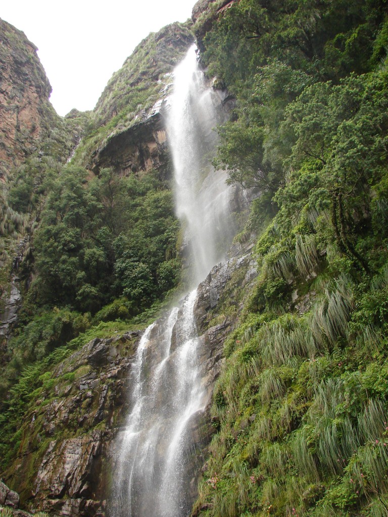 Foto: Chorro de Pinos Sud - Pinos Sud (Tarija), Bolivia