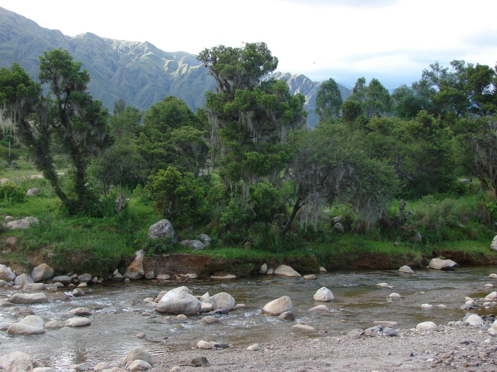 Foto: Quebrada de Juntas - Juntas (Tarija), Bolivia