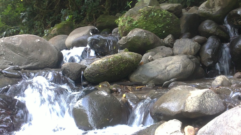 Foto de La Tigra (Alajuela), Costa Rica