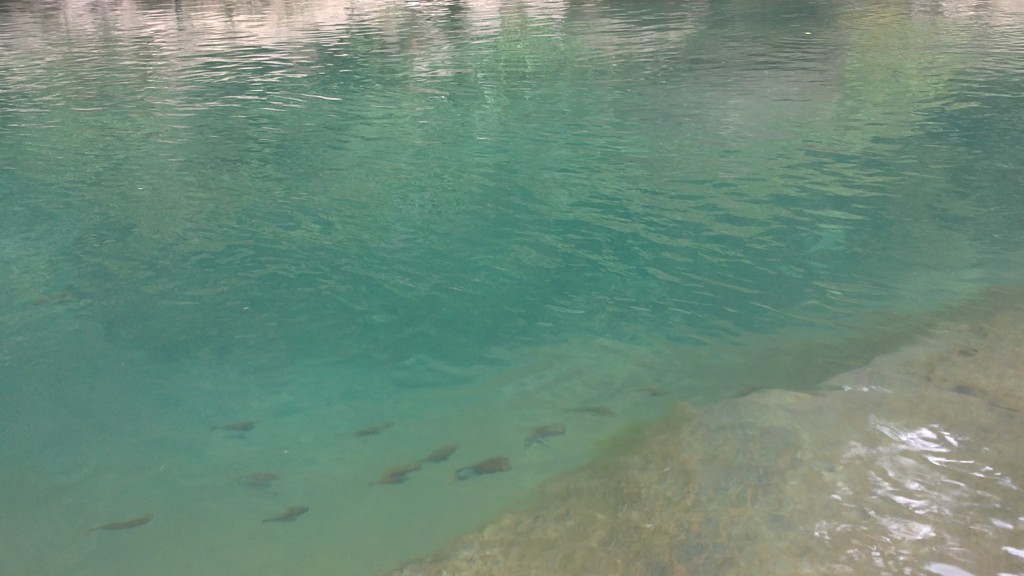 Foto de La Tigra (Alajuela), Costa Rica