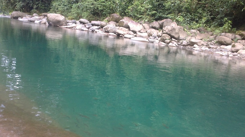 Foto de La Tigra (Alajuela), Costa Rica