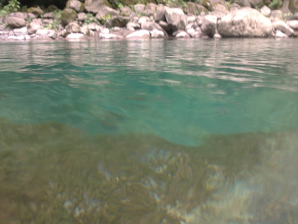 Foto de La Tigra (Alajuela), Costa Rica