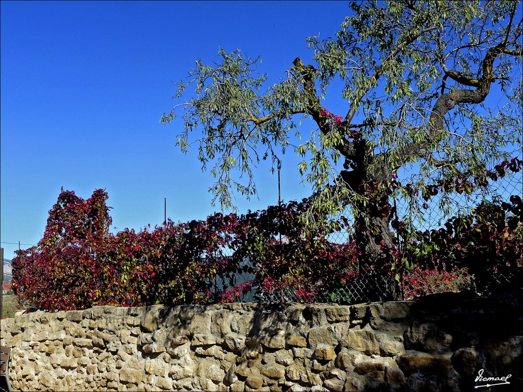 Foto: 121029-028 BUERA - Buera (Huesca), España