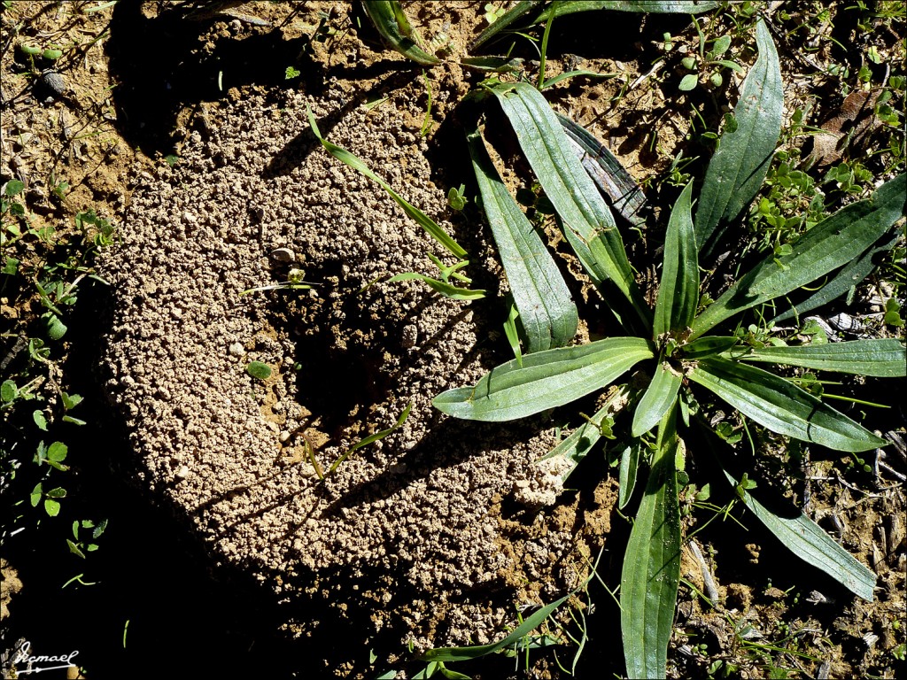 Foto: 121029-029 SANTA Mº DE DULCIS - Santa Maria De Dulcis (Huesca), España