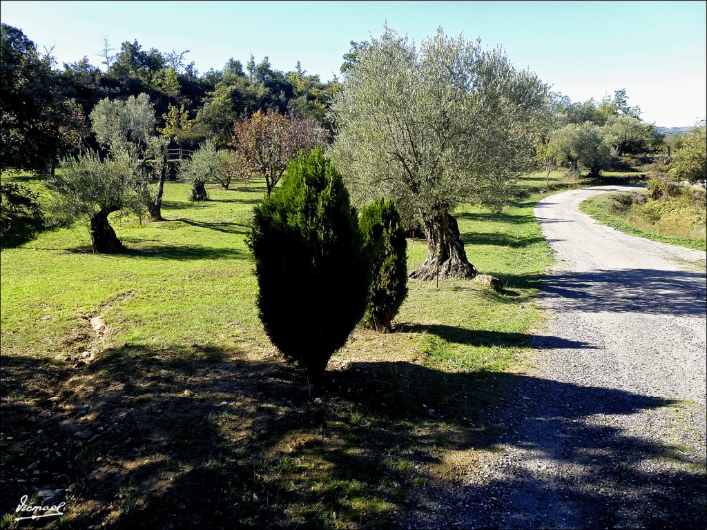 Foto: 121029-030 SANTA Mº DE DULCIS - Santa Maria De Dulcis (Huesca), España
