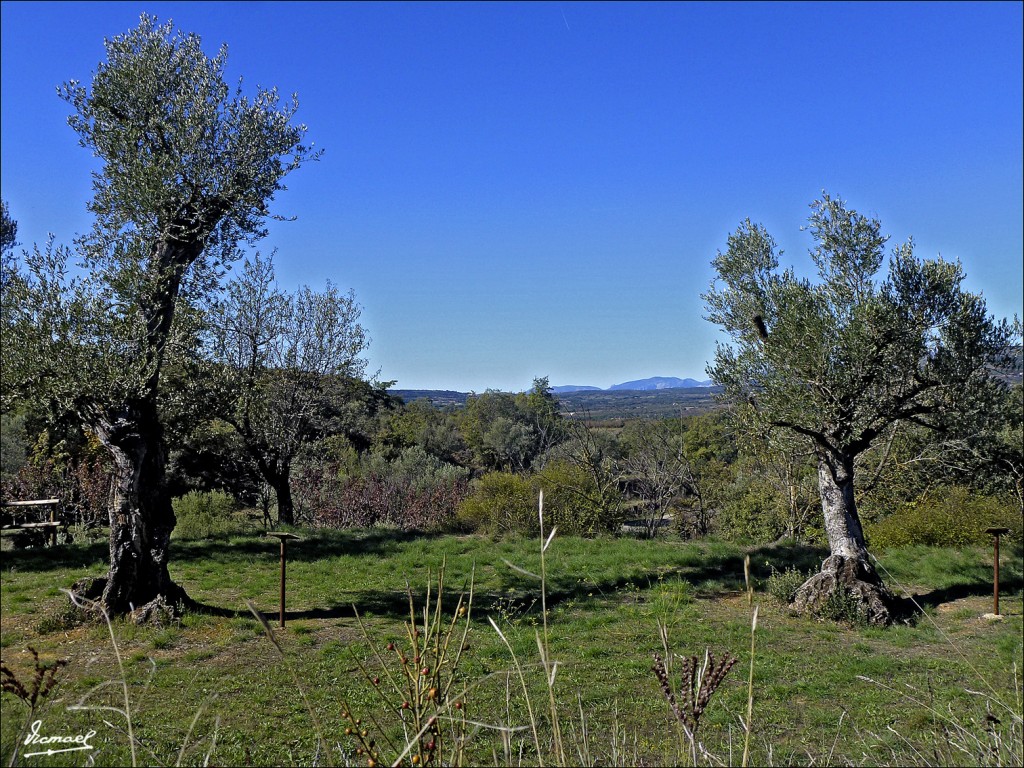 Foto: 121029-045 SANTA Mº DE DULCIS - Santa Maria De Dulcis (Huesca), España