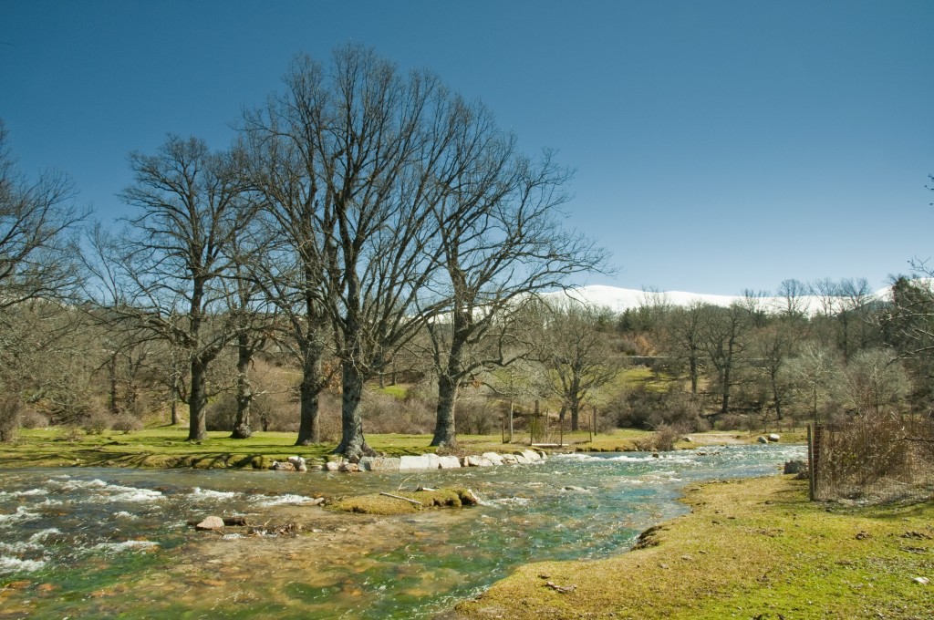 Foto: sin titulo - Valsain (Segovia), España
