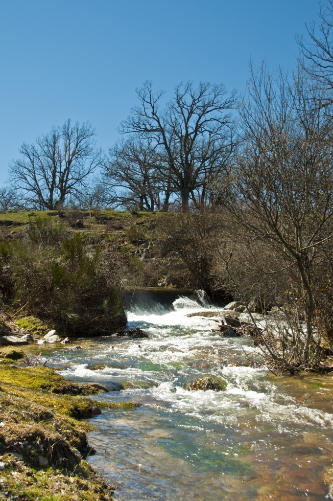 Foto: Rio Eresma. - Valsain (Segovia), España