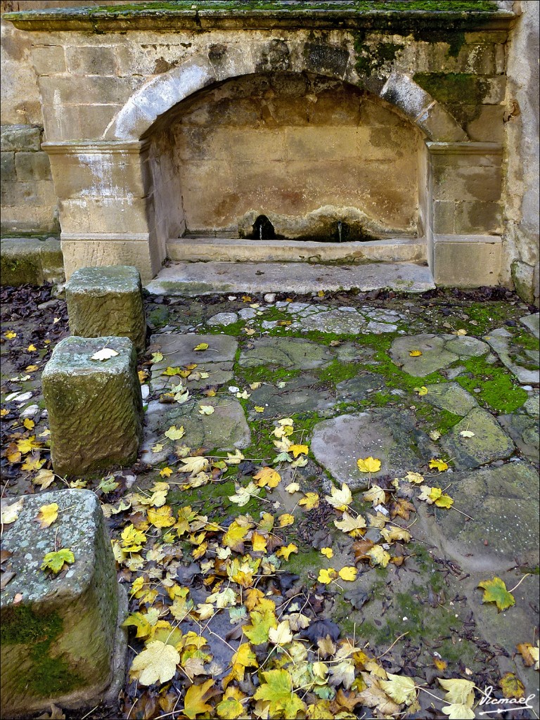 Foto: 121118-005 CASBAS, MONASTERIO - Casbas (Huesca), España