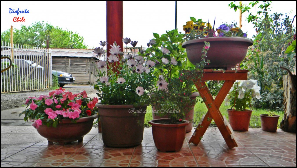 Foto de El Huapi (Libertador General Bernardo OʼHiggins), Chile