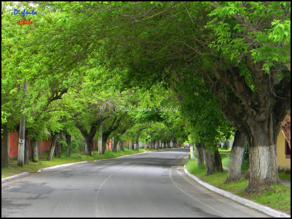 Foto de Zúñiga (Libertador General Bernardo OʼHiggins), Chile