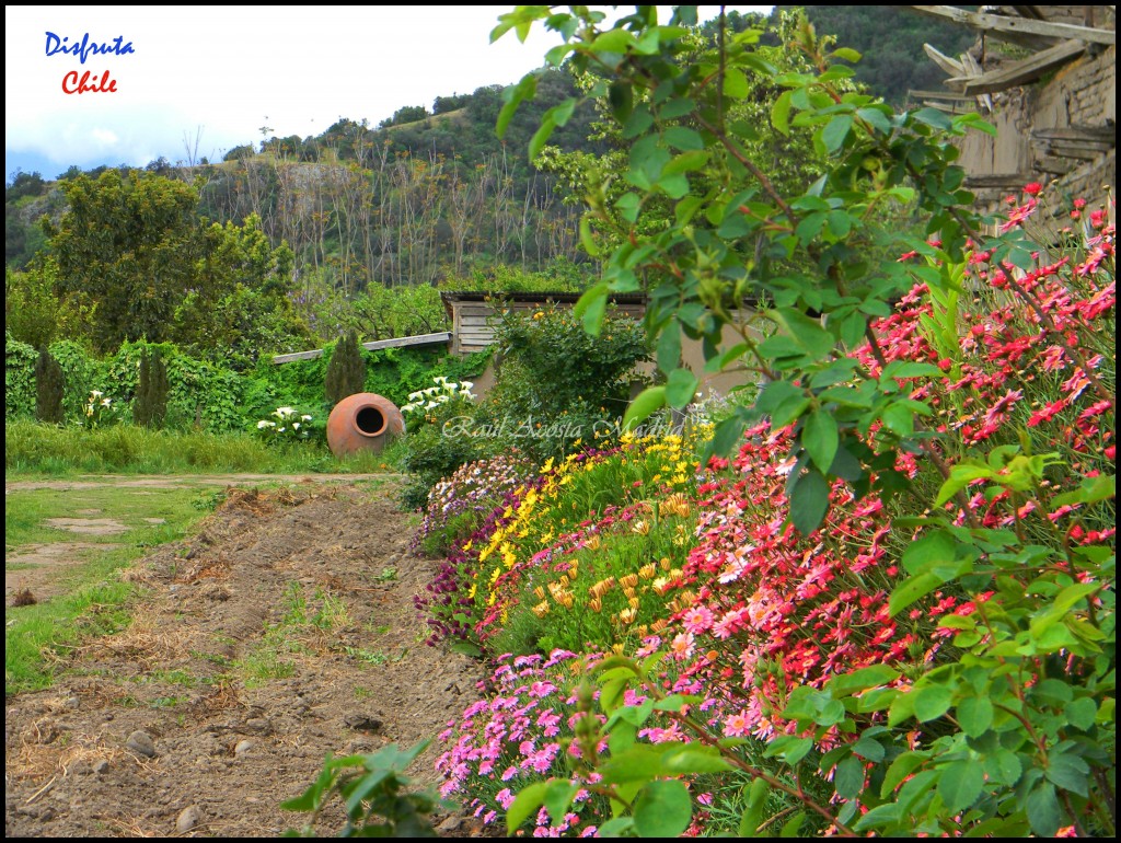 Foto de Zúñiga (Libertador General Bernardo OʼHiggins), Chile