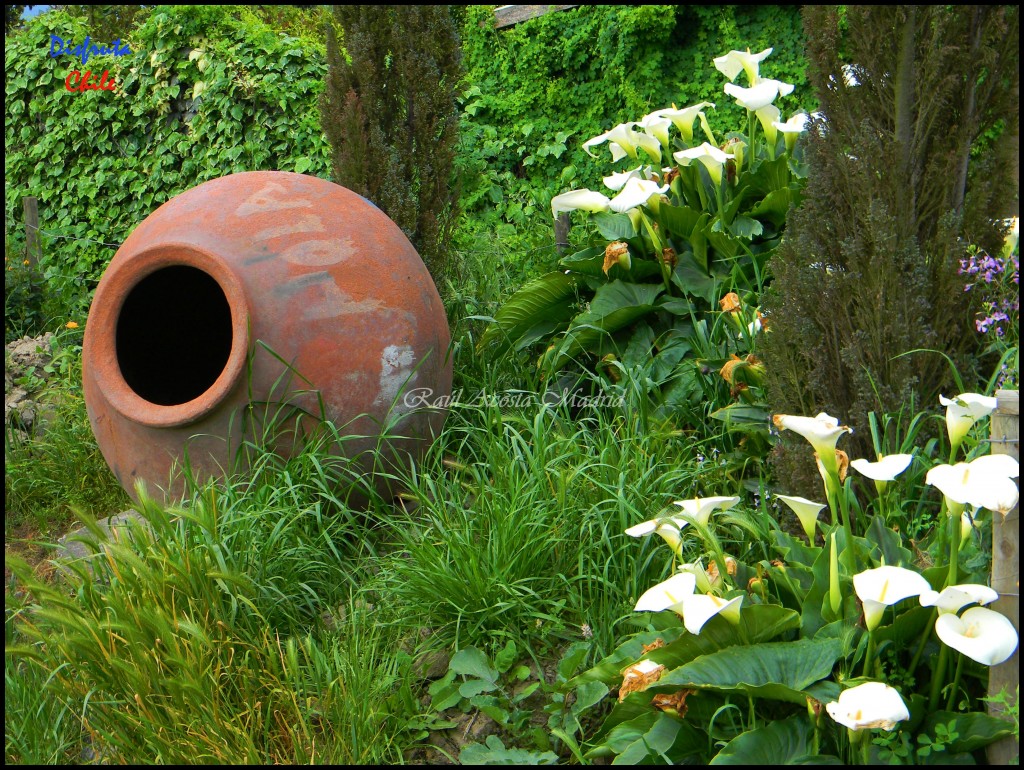 Foto de Zúñiga (Libertador General Bernardo OʼHiggins), Chile