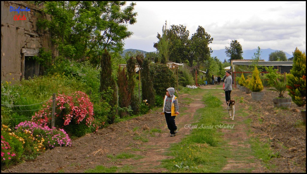 Foto de Zúñiga (Libertador General Bernardo OʼHiggins), Chile