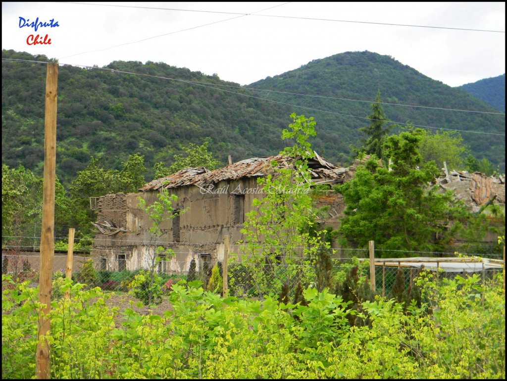Foto de Zúñiga (Libertador General Bernardo OʼHiggins), Chile